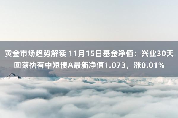 黄金市场趋势解读 11月15日基金净值：兴业30天回荡执有中短债A最新净值1.073，涨0.01%