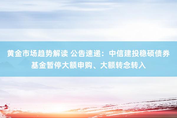 黄金市场趋势解读 公告速递：中信建投稳硕债券基金暂停大额申购、大额转念转入