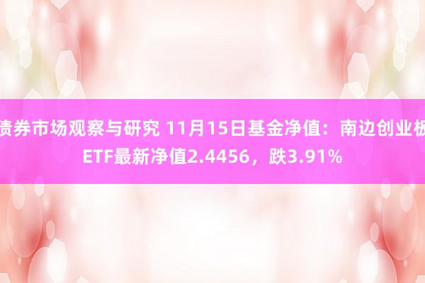 债券市场观察与研究 11月15日基金净值：南边创业板ETF最新净值2.4456，跌3.91%