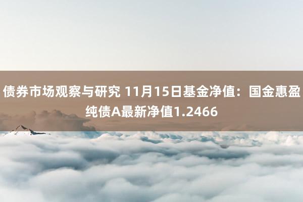 债券市场观察与研究 11月15日基金净值：国金惠盈纯债A最新净值1.2466