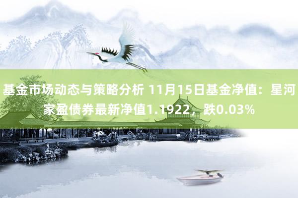 基金市场动态与策略分析 11月15日基金净值：星河家盈债券最新净值1.1922，跌0.03%