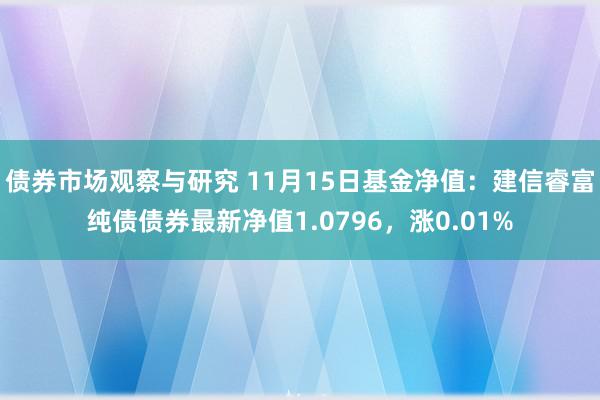 债券市场观察与研究 11月15日基金净值：建信睿富纯债债券最新净值1.0796，涨0.01%