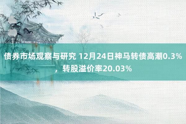 债券市场观察与研究 12月24日神马转债高潮0.3%，转股溢价率20.03%