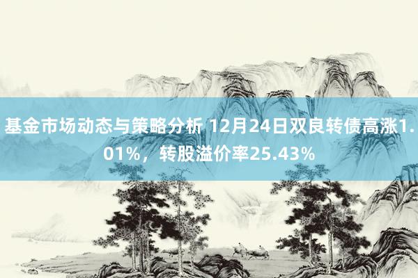 基金市场动态与策略分析 12月24日双良转债高涨1.01%，转股溢价率25.43%