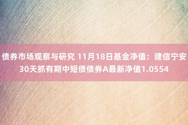 债券市场观察与研究 11月18日基金净值：建信宁安30天抓有期中短债债券A最新净值1.0554