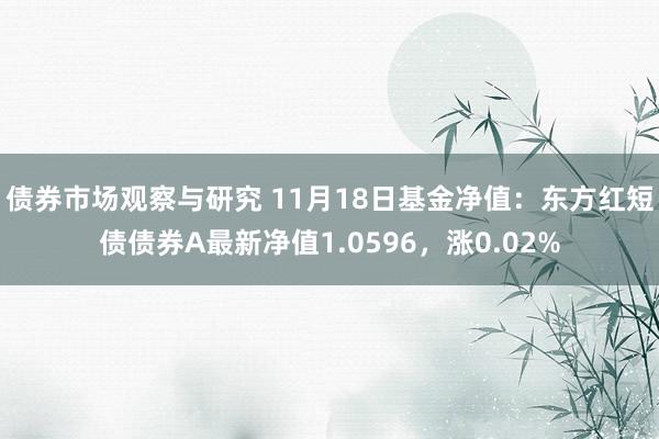 债券市场观察与研究 11月18日基金净值：东方红短债债券A最新净值1.0596，涨0.02%