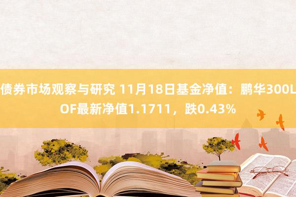 债券市场观察与研究 11月18日基金净值：鹏华300LOF最新净值1.1711，跌0.43%