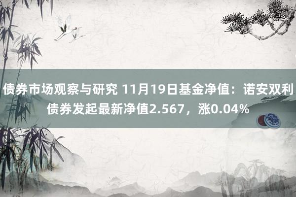 债券市场观察与研究 11月19日基金净值：诺安双利债券发起最新净值2.567，涨0.04%