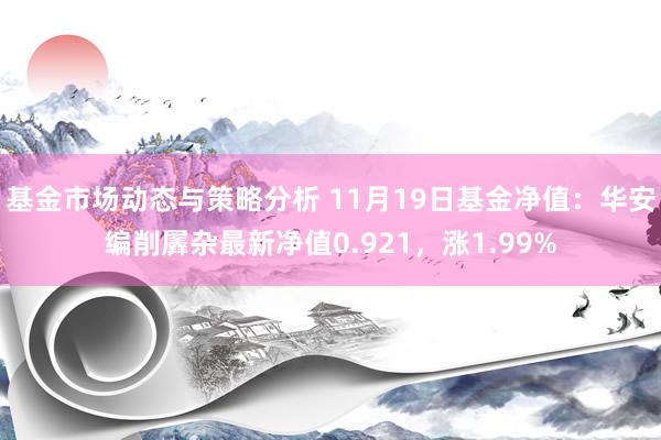 基金市场动态与策略分析 11月19日基金净值：华安编削羼杂最新净值0.921，涨1.99%