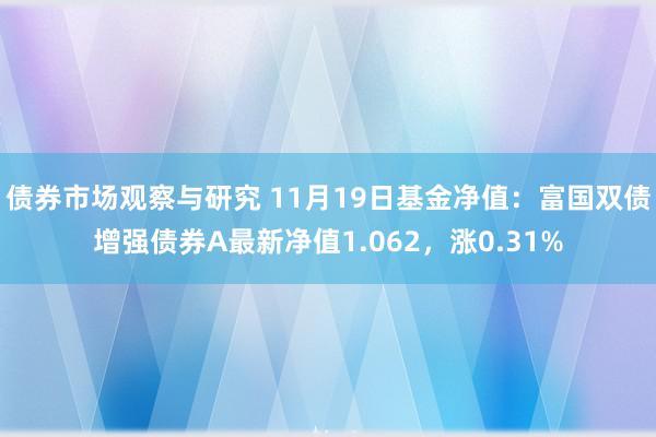 债券市场观察与研究 11月19日基金净值：富国双债增强债券A最新净值1.062，涨0.31%