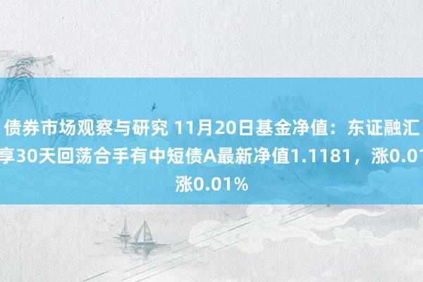 债券市场观察与研究 11月20日基金净值：东证融汇鑫享30天回荡合手有中短债A最新净值1.1181，涨0.01%