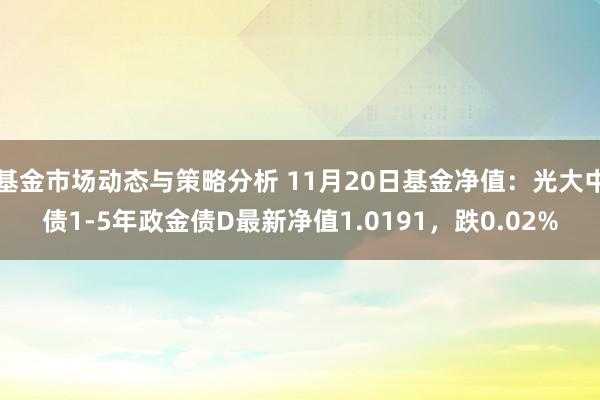 基金市场动态与策略分析 11月20日基金净值：光大中债1-5年政金债D最新净值1.0191，跌0.02%