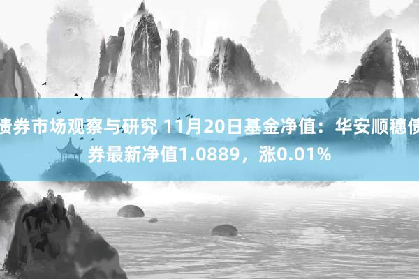 债券市场观察与研究 11月20日基金净值：华安顺穗债券最新净值1.0889，涨0.01%