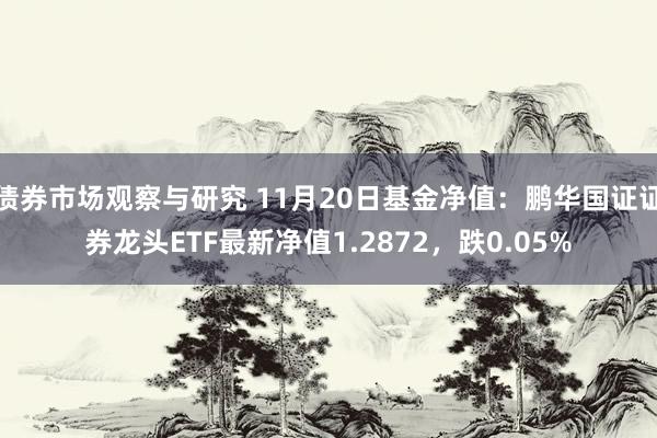 债券市场观察与研究 11月20日基金净值：鹏华国证证券龙头ETF最新净值1.2872，跌0.05%