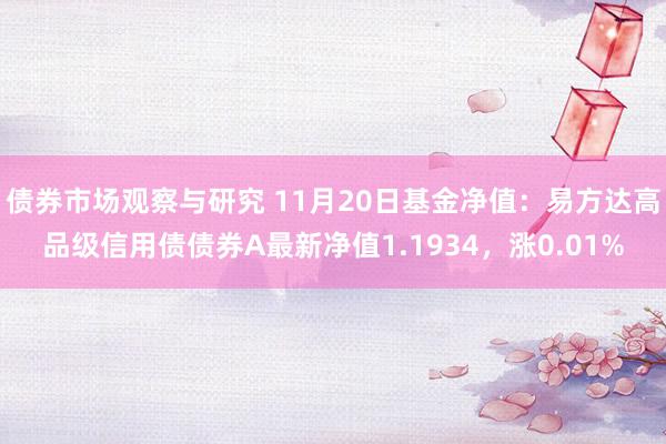 债券市场观察与研究 11月20日基金净值：易方达高品级信用债债券A最新净值1.1934，涨0.01%