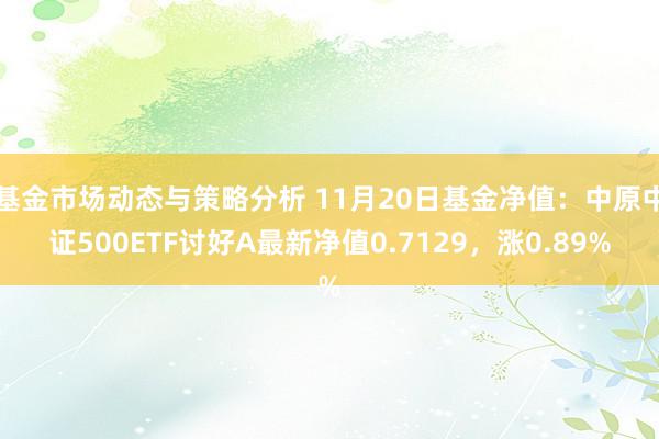 基金市场动态与策略分析 11月20日基金净值：中原中证500ETF讨好A最新净值0.7129，涨0.89%