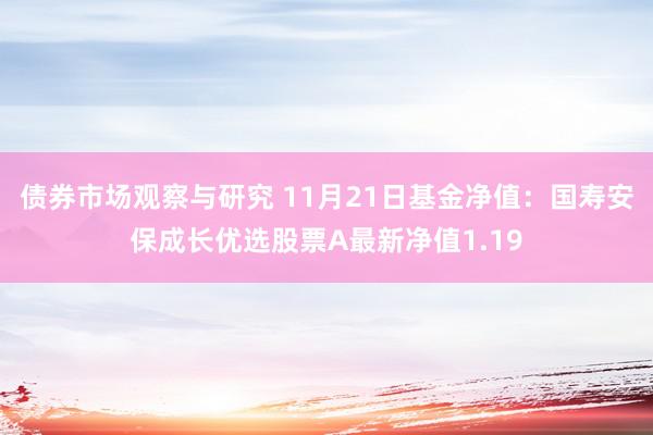 债券市场观察与研究 11月21日基金净值：国寿安保成长优选股票A最新净值1.19