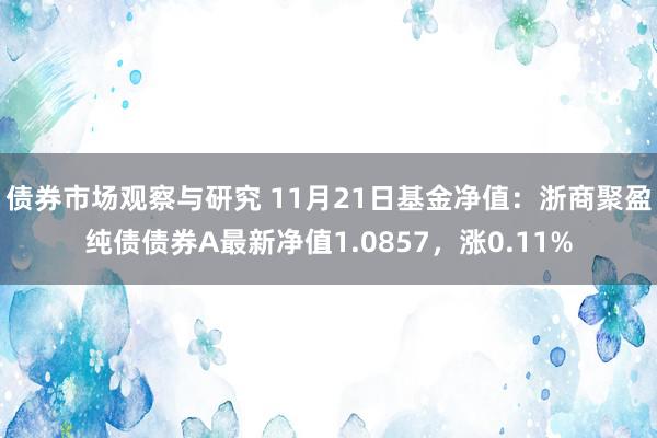 债券市场观察与研究 11月21日基金净值：浙商聚盈纯债债券A最新净值1.0857，涨0.11%