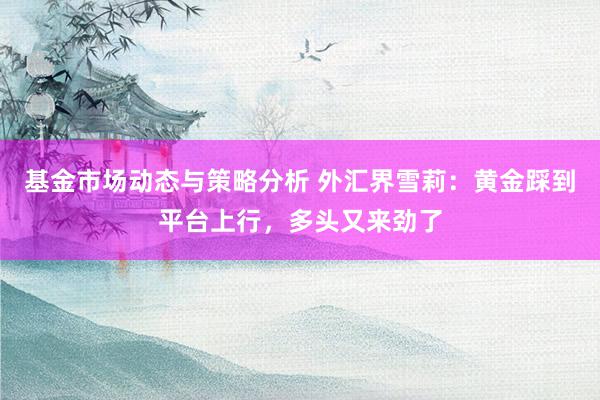 基金市场动态与策略分析 外汇界雪莉：黄金踩到平台上行，多头又来劲了