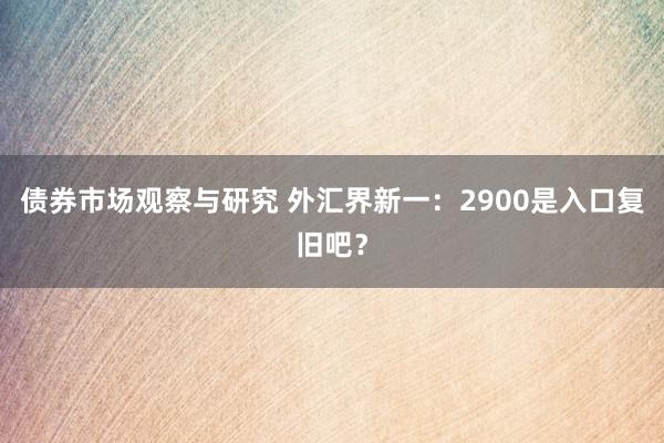 债券市场观察与研究 外汇界新一：2900是入口复旧吧？