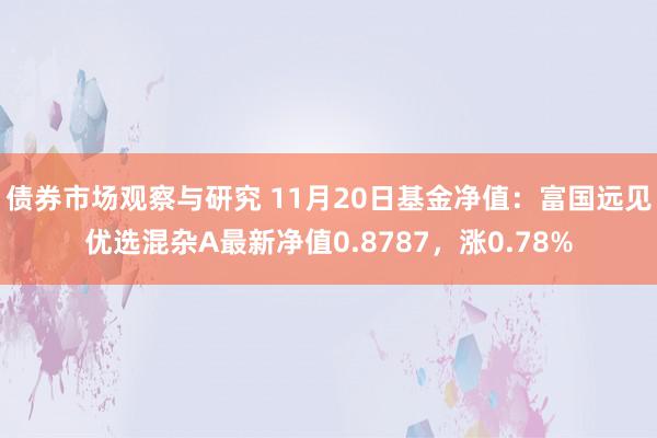 债券市场观察与研究 11月20日基金净值：富国远见优选混杂A最新净值0.8787，涨0.78%