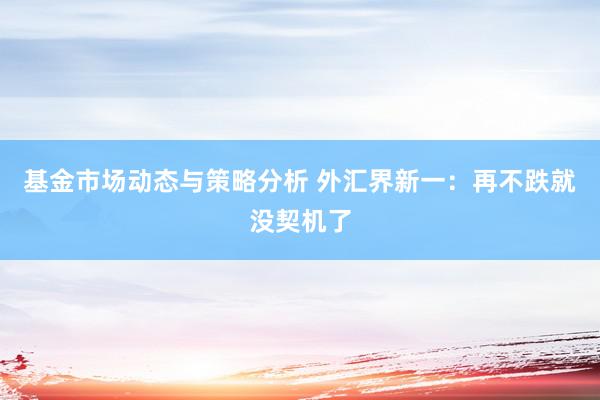 基金市场动态与策略分析 外汇界新一：再不跌就没契机了