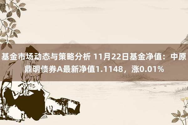 基金市场动态与策略分析 11月22日基金净值：中原鼎明债券A最新净值1.1148，涨0.01%