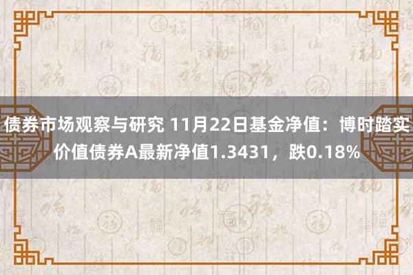 债券市场观察与研究 11月22日基金净值：博时踏实价值债券A最新净值1.3431，跌0.18%