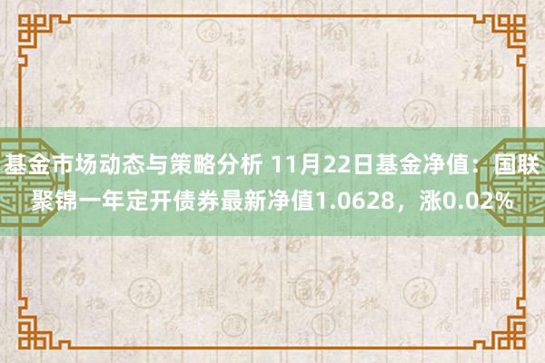 基金市场动态与策略分析 11月22日基金净值：国联聚锦一年定开债券最新净值1.0628，涨0.02%