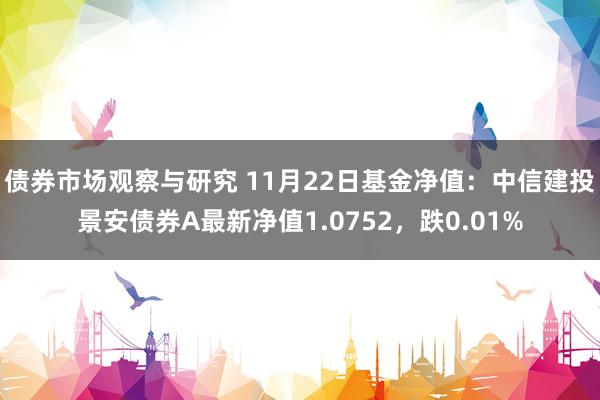 债券市场观察与研究 11月22日基金净值：中信建投景安债券A最新净值1.0752，跌0.01%