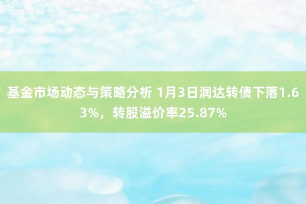 基金市场动态与策略分析 1月3日润达转债下落1.63%，转股溢价率25.87%