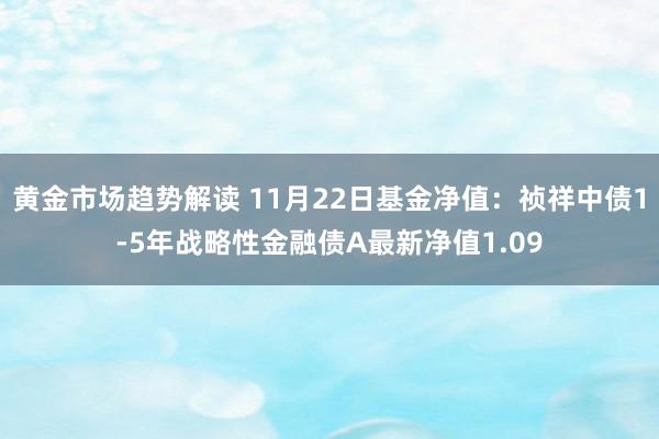 黄金市场趋势解读 11月22日基金净值：祯祥中债1-5年战略性金融债A最新净值1.09