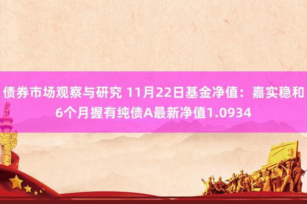 债券市场观察与研究 11月22日基金净值：嘉实稳和6个月握有纯债A最新净值1.0934