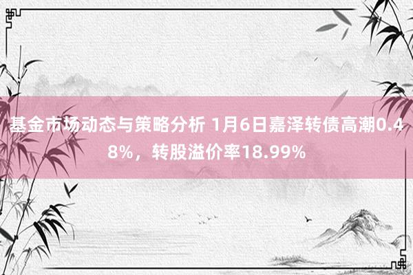 基金市场动态与策略分析 1月6日嘉泽转债高潮0.48%，转股溢价率18.99%