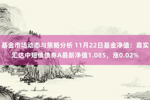 基金市场动态与策略分析 11月22日基金净值：嘉实汇达中短债债券A最新净值1.085，涨0.02%