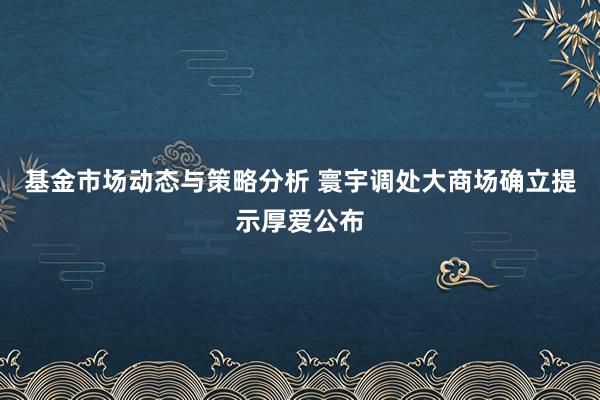 基金市场动态与策略分析 寰宇调处大商场确立提示厚爱公布