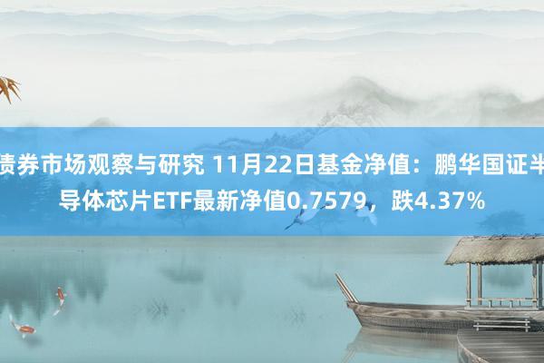 债券市场观察与研究 11月22日基金净值：鹏华国证半导体芯片ETF最新净值0.7579，跌4.37%