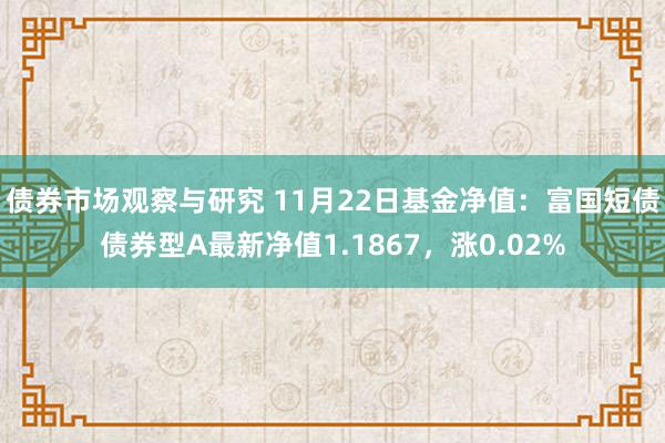 债券市场观察与研究 11月22日基金净值：富国短债债券型A最新净值1.1867，涨0.02%