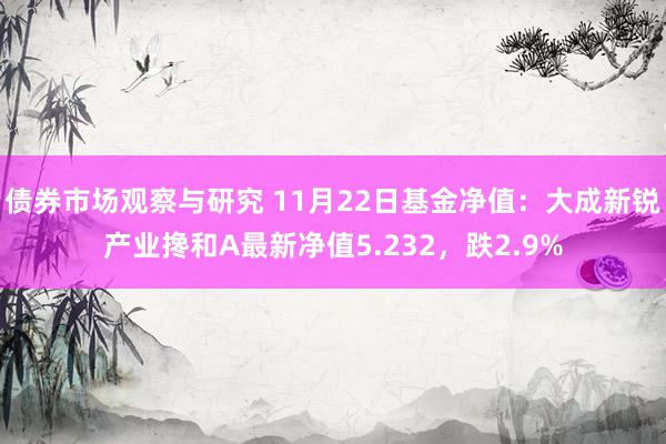 债券市场观察与研究 11月22日基金净值：大成新锐产业搀和A最新净值5.232，跌2.9%