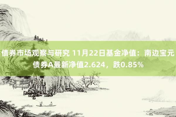 债券市场观察与研究 11月22日基金净值：南边宝元债券A最新净值2.624，跌0.85%