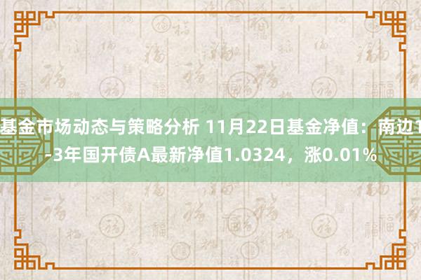 基金市场动态与策略分析 11月22日基金净值：南边1-3年国开债A最新净值1.0324，涨0.01%