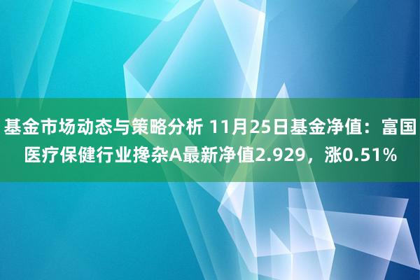 基金市场动态与策略分析 11月25日基金净值：富国医疗保健行业搀杂A最新净值2.929，涨0.51%