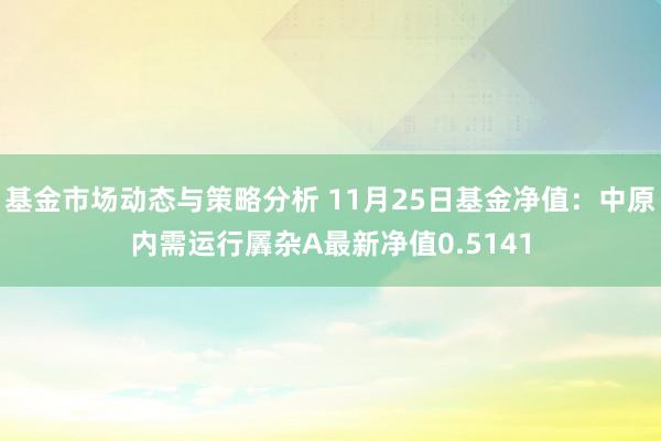 基金市场动态与策略分析 11月25日基金净值：中原内需运行羼杂A最新净值0.5141