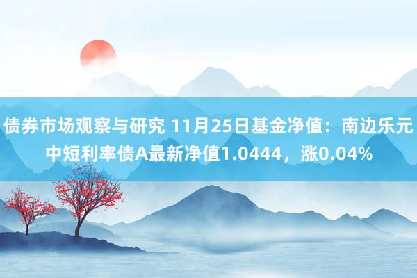 债券市场观察与研究 11月25日基金净值：南边乐元中短利率债A最新净值1.0444，涨0.04%