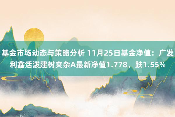 基金市场动态与策略分析 11月25日基金净值：广发利鑫活泼建树夹杂A最新净值1.778，跌1.55%