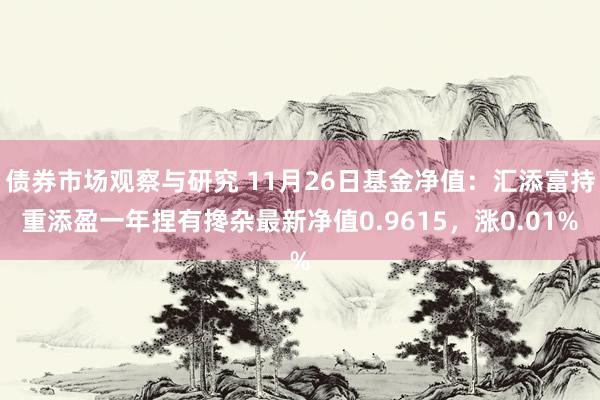 债券市场观察与研究 11月26日基金净值：汇添富持重添盈一年捏有搀杂最新净值0.9615，涨0.01%