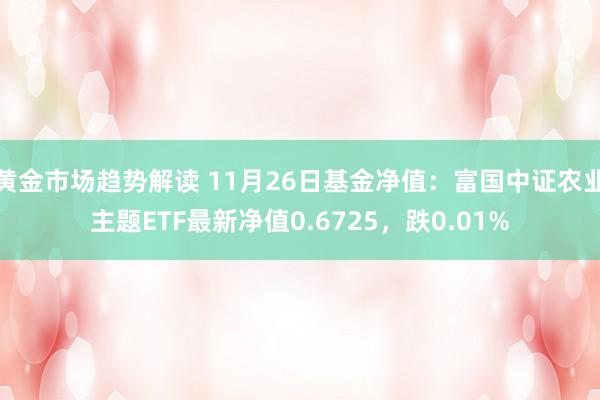 黄金市场趋势解读 11月26日基金净值：富国中证农业主题ETF最新净值0.6725，跌0.01%