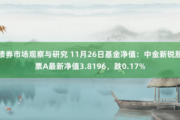 债券市场观察与研究 11月26日基金净值：中金新锐股票A最新净值3.8196，跌0.17%